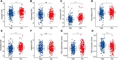 Identification of lactate metabolism-related subtypes and development of a lactate-related prognostic indicator of lung adenocarcinoma